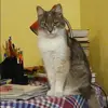 Отзыв от Вероника Ефремова